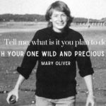 Wild and precious life Mary Oliver