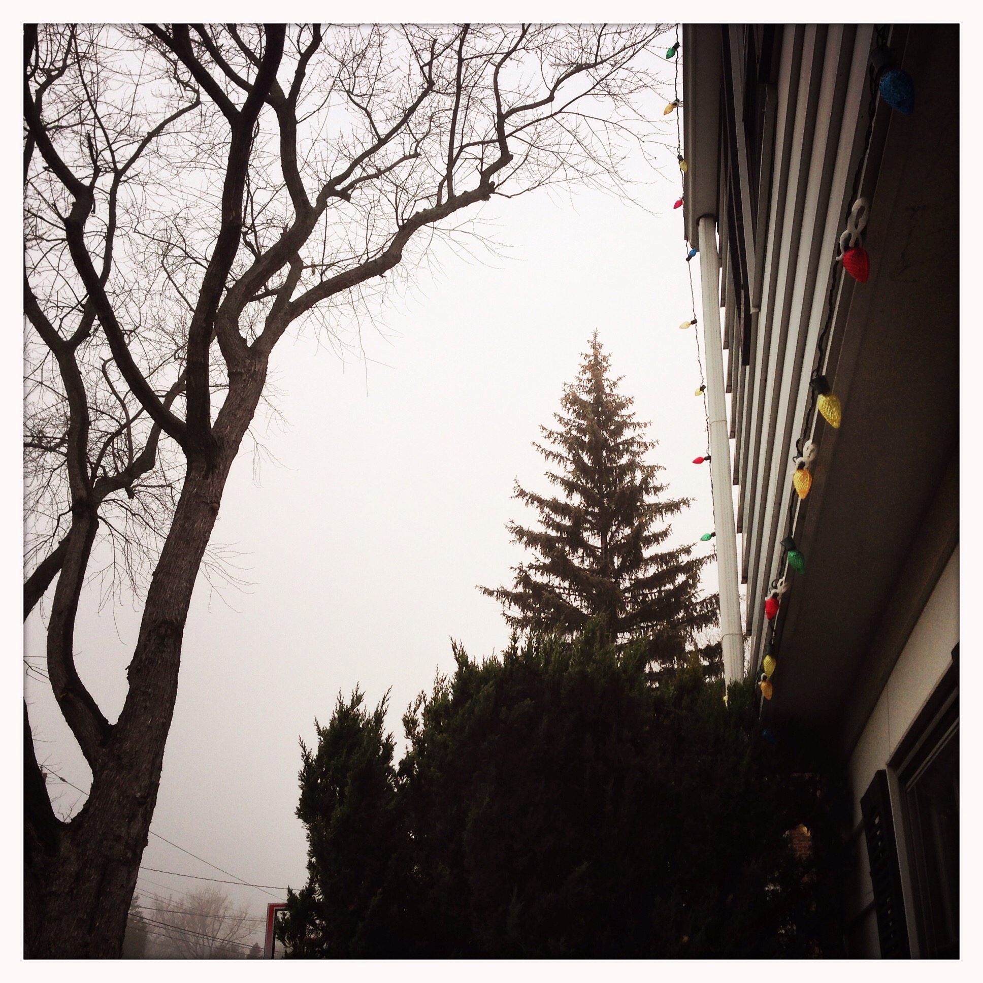 It’s Just the Weather – #reverb14, Day 3